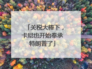 关税大棒下，卡尼也开始奉承特朗普了