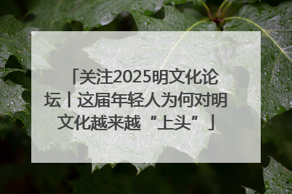 关注2025明文化论坛丨这届年轻人为何对明文化越来越“上头”