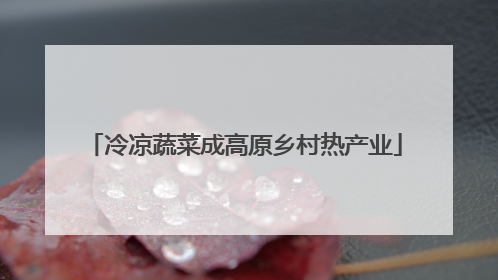 冷凉蔬菜成高原乡村热产业
