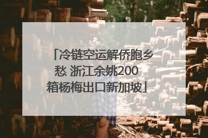 冷链空运解侨胞乡愁 浙江余姚200箱杨梅出口新加坡