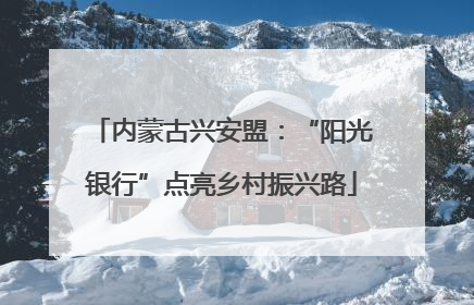 内蒙古兴安盟：“阳光银行”点亮乡村振兴路