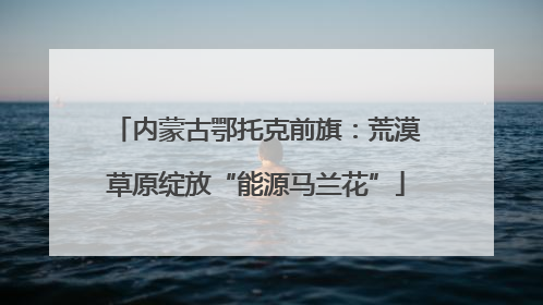 内蒙古鄂托克前旗：荒漠草原绽放“能源马兰花”