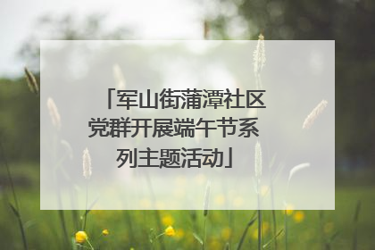 军山街蒲潭社区党群开展端午节系列主题活动
