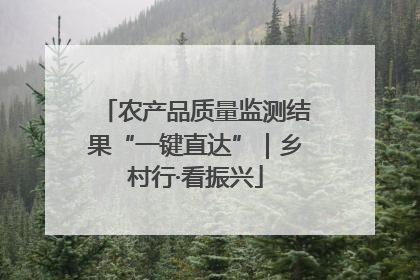 农产品质量监测结果“一键直达”｜乡村行·看振兴