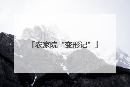 农家院“变形记”