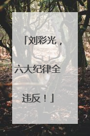 刘彩光，六大纪律全违反！
