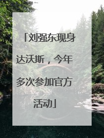 刘强东现身达沃斯，今年多次参加官方活动