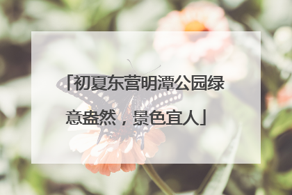 初夏东营明潭公园绿意盎然，景色宜人