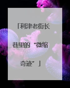 利津老街长巷里的“微缩奇迹”