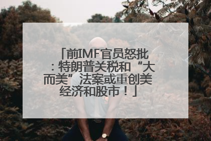 前IMF官员怒批：特朗普关税和“大而美”法案或重创美经济和股市！