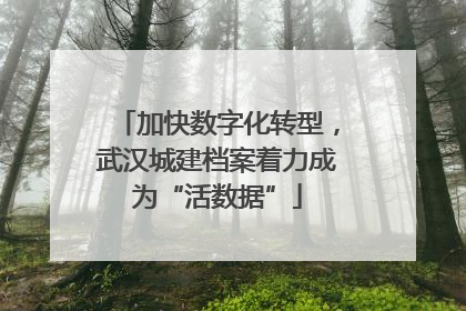 加快数字化转型，武汉城建档案着力成为“活数据”