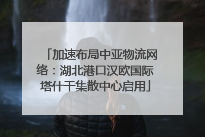 加速布局中亚物流网络：湖北港口汉欧国际塔什干集散中心启用