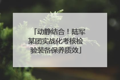 动静结合！陆军某团实战化考核检验装备保养质效