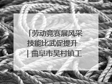 劳动竞赛展风采 技能比武促提升｜曲阜市吴村镇工会组织开展果树套袋技能竞赛