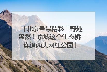 北京号最精彩｜野趣盎然！京城这个生态桥连通两大网红公园