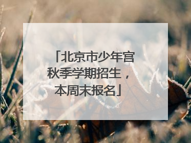 北京市少年宫秋季学期招生，本周末报名