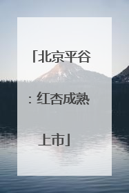 北京平谷：红杏成熟上市