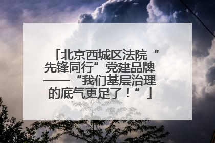 北京西城区法院“先锋同行”党建品牌——“我们基层治理的底气更足了！”