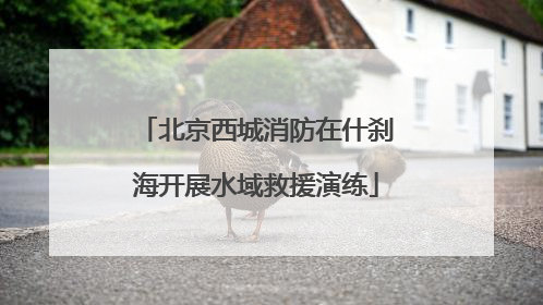 北京西城消防在什刹海开展水域救援演练