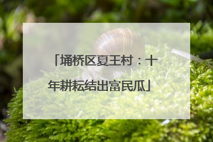 埇桥区夏王村：十年耕耘结出富民瓜