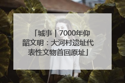 城事｜7000年仰韶文明：大河村遗址代表性文物首回原址