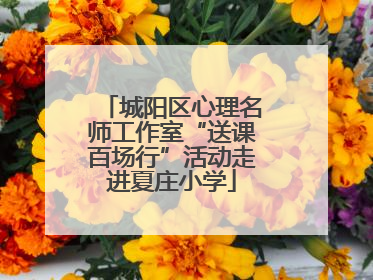 城阳区心理名师工作室“送课百场行”活动走进夏庄小学