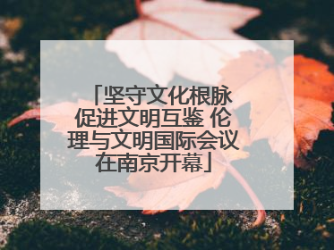 坚守文化根脉 促进文明互鉴 伦理与文明国际会议在南京开幕