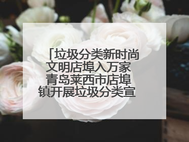 垃圾分类新时尚 文明店埠入万家 青岛莱西市店埠镇开展垃圾分类宣传活动