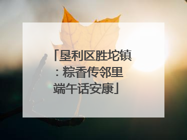 垦利区胜坨镇：粽香传邻里 端午话安康