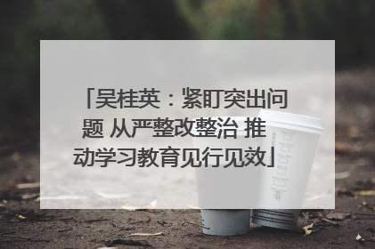 吴桂英：紧盯突出问题 从严整改整治 推动学习教育见行见效