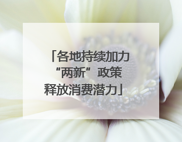 各地持续加力“两新”政策 释放消费潜力