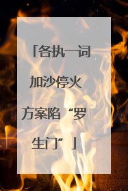 各执一词 加沙停火方案陷“罗生门”