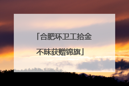 合肥环卫工拾金不昧获赠锦旗