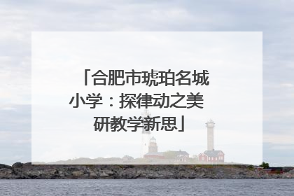 合肥市琥珀名城小学：探律动之美 研教学新思