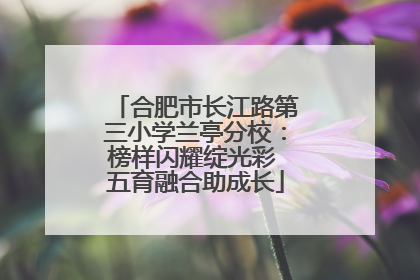 合肥市长江路第三小学兰亭分校：榜样闪耀绽光彩 五育融合助成长