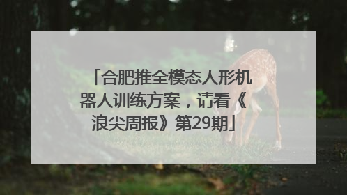 合肥推全模态人形机器人训练方案，请看《浪尖周报》第29期