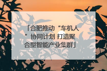 合肥推动“车机人”协同计划 打造聚合型智能产业集群
