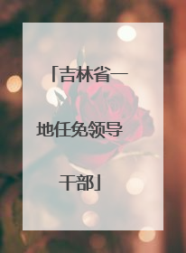 吉林省一地任免领导干部