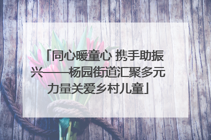 同心暖童心 携手助振兴——杨园街道汇聚多元力量关爱乡村儿童
