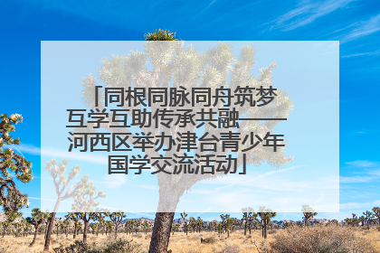 同根同脉同舟筑梦 互学互助传承共融——河西区举办津台青少年国学交流活动