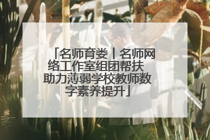名师育娄丨名师网络工作室组团帮扶 助力薄弱学校教师数字素养提升