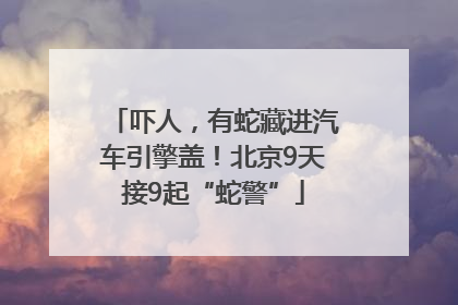 吓人，有蛇藏进汽车引擎盖！北京9天接9起“蛇警”