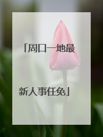周口一地最新人事任免