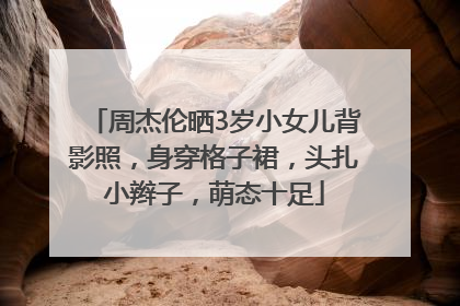 周杰伦晒3岁小女儿背影照，身穿格子裙，头扎小辫子，萌态十足