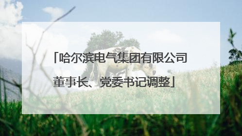 哈尔滨电气集团有限公司董事长、党委书记调整