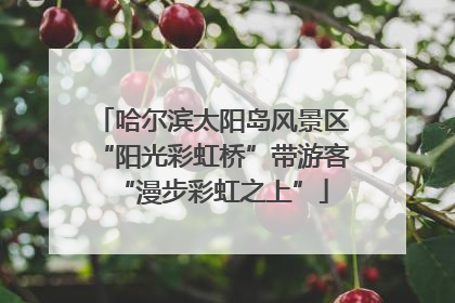 哈尔滨太阳岛风景区“阳光彩虹桥”带游客“漫步彩虹之上”