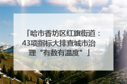 哈市香坊区红旗街道：43项指标大排查城市治理“有数有温度”