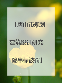 唐山市规划建筑设计研究院串标被罚
