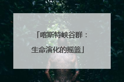 喀斯特峡谷群：生命演化的摇篮