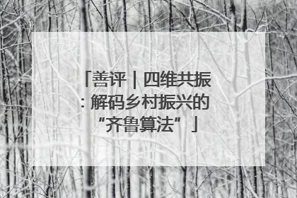 善评｜四维共振：解码乡村振兴的“齐鲁算法”